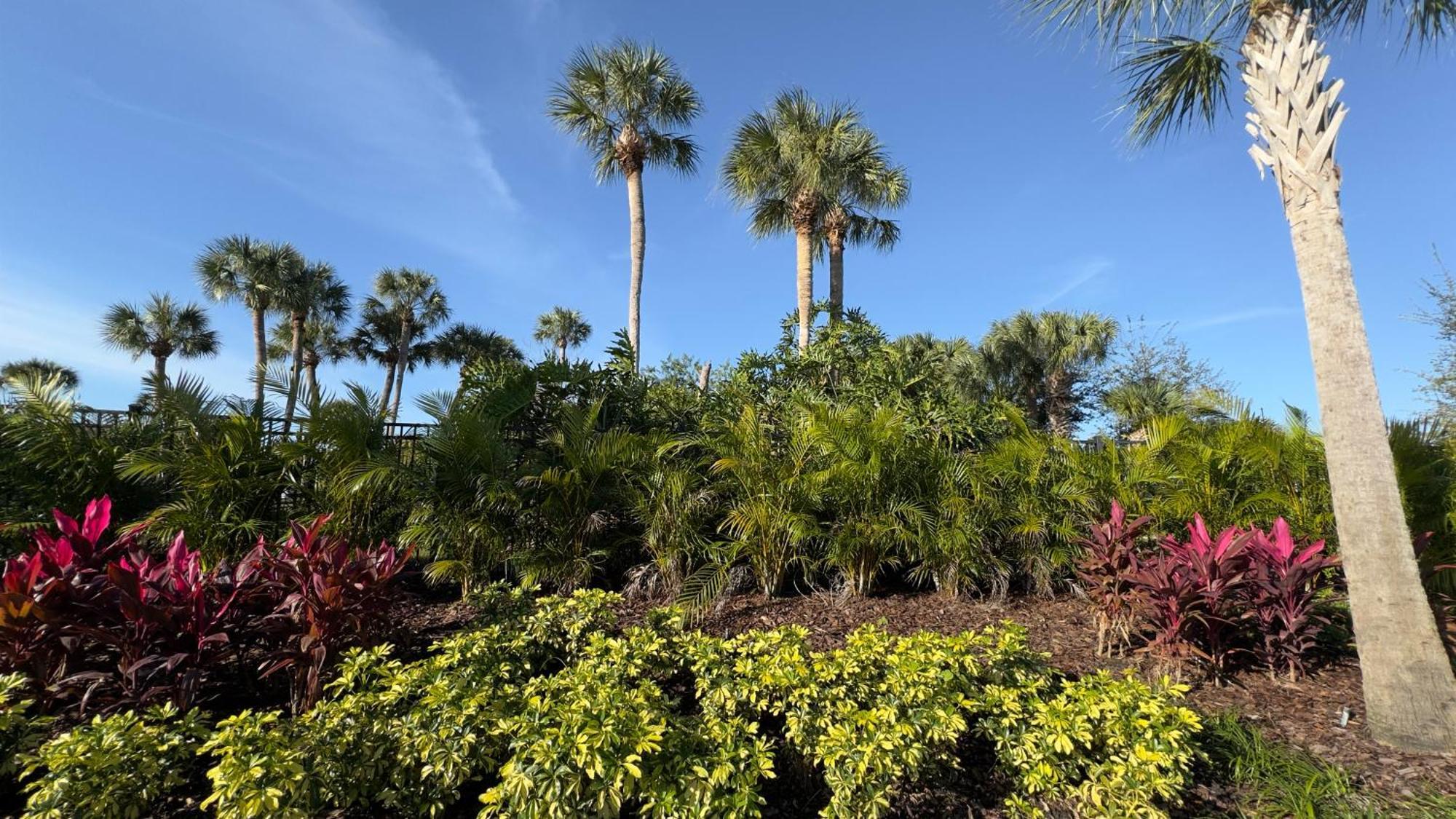 Wyndham I-Drive Avanti Resort & Conference Center Orlando Ngoại thất bức ảnh